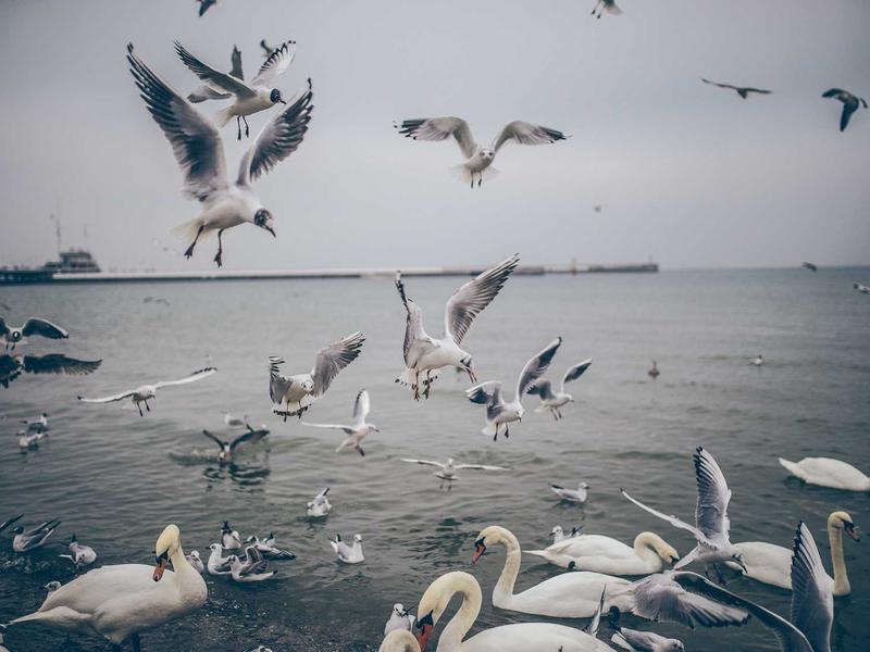 sudoku morning routine screenshot 5