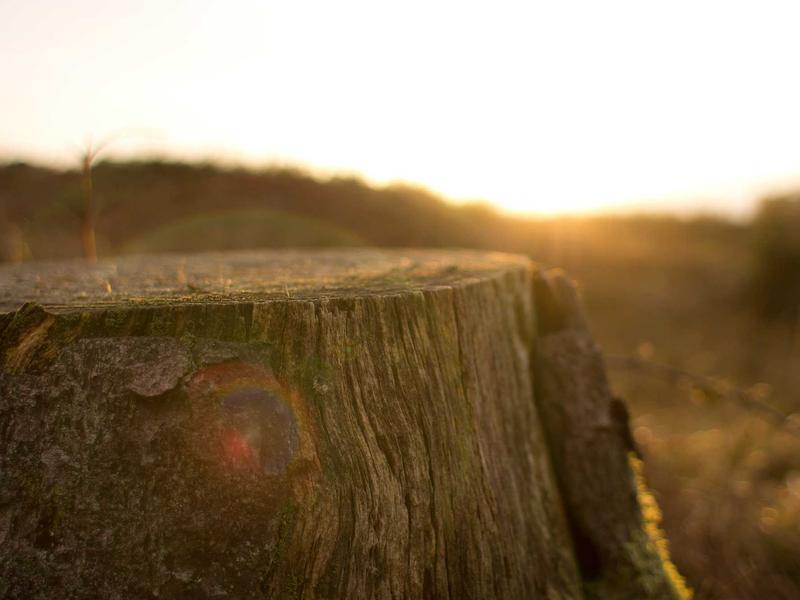 sudoku morning routine screenshot 3